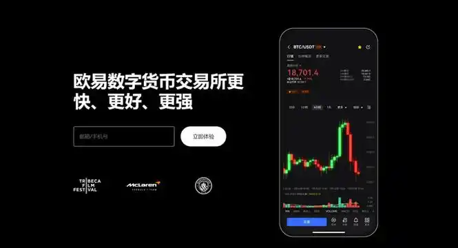 TGpay钱包app平台展示图